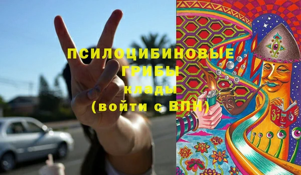 прущие грибы Красноперекопск